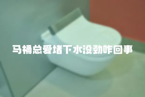 馬桶總愛堵下水沒勁咋回事