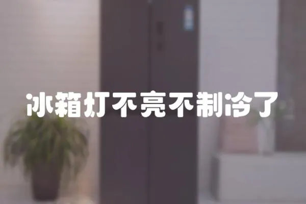 冰箱燈不亮不制冷了