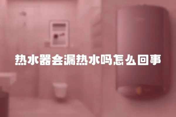 熱水器會(huì)漏熱水嗎怎么回事
