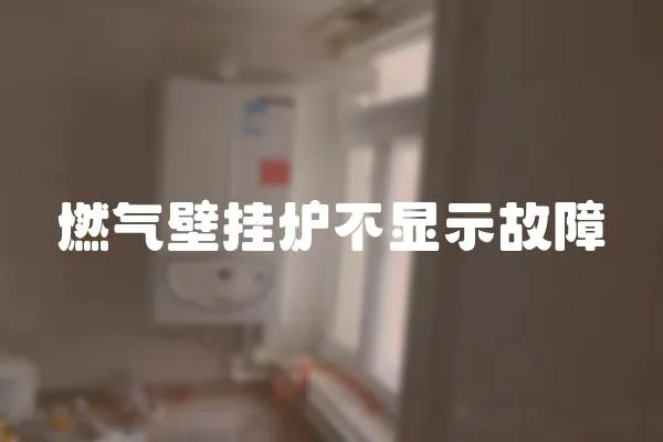 燃?xì)獗趻鞝t不顯示故障