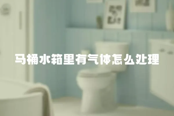 馬桶水箱里有氣體怎么處理