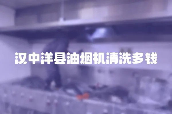 漢中洋縣油煙機(jī)清洗多錢