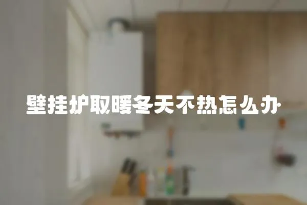 壁掛爐取暖冬天不熱怎么辦