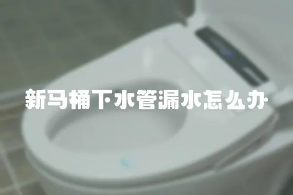 新馬桶下水管漏水怎么辦
