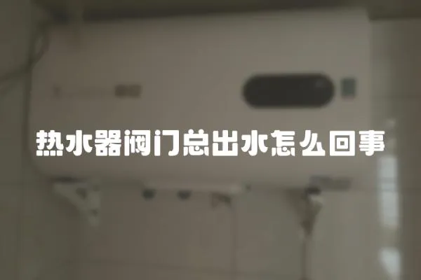 熱水器閥門(mén)總出水怎么回事
