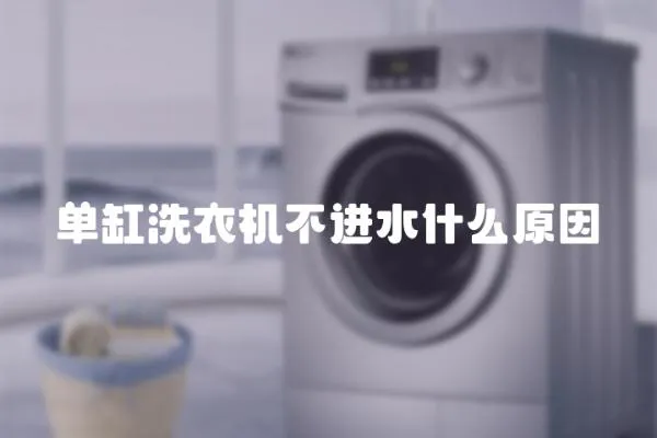 單缸洗衣機(jī)不進(jìn)水什么原因