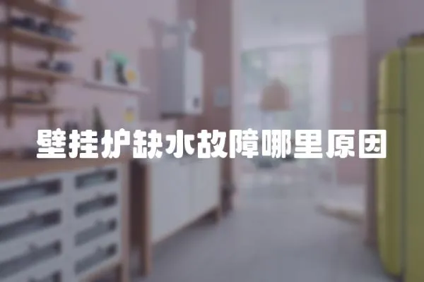 壁掛爐缺水故障哪里原因