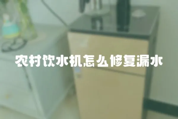 農村飲水機怎么修復漏水