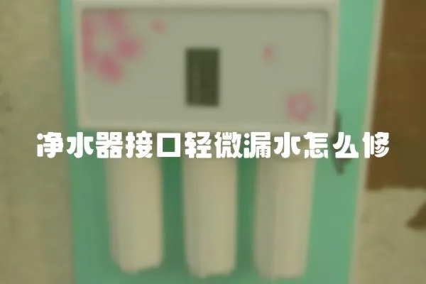 凈水器接口輕微漏水怎么修