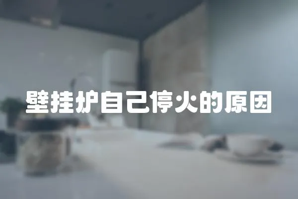 壁掛爐自己?；鸬脑?></a></div>
                    </div>
                    <div   id=