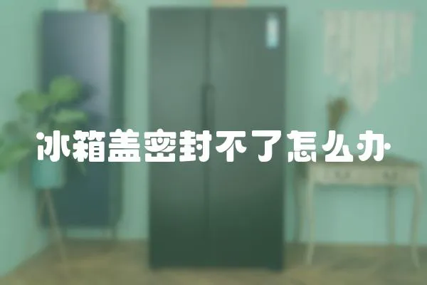 冰箱蓋密封不了怎么辦