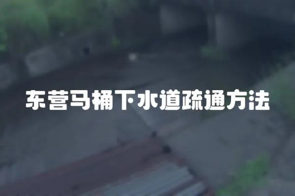 東營馬桶下水道疏通方法
