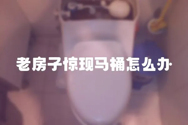 老房子驚現(xiàn)馬桶怎么辦