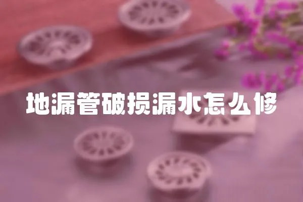 地漏管破損漏水怎么修