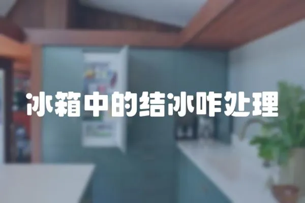 冰箱中的結冰咋處理