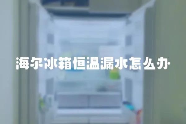 海爾冰箱恒溫漏水怎么辦