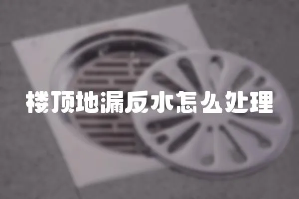 樓頂地漏反水怎么處理