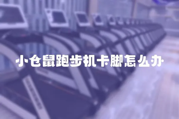 小倉鼠跑步機卡腳怎么辦