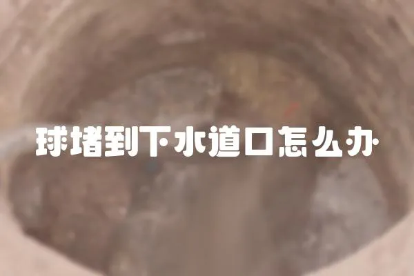 球堵到下水道口怎么辦