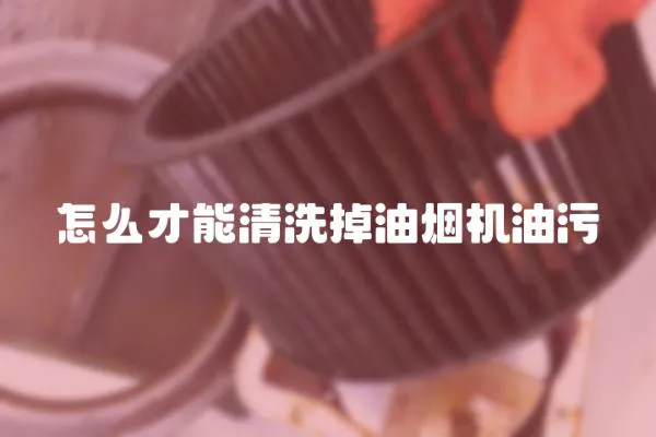 怎么才能清洗掉油烟机油污