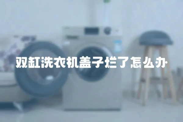 雙缸洗衣機蓋子爛了怎么辦
