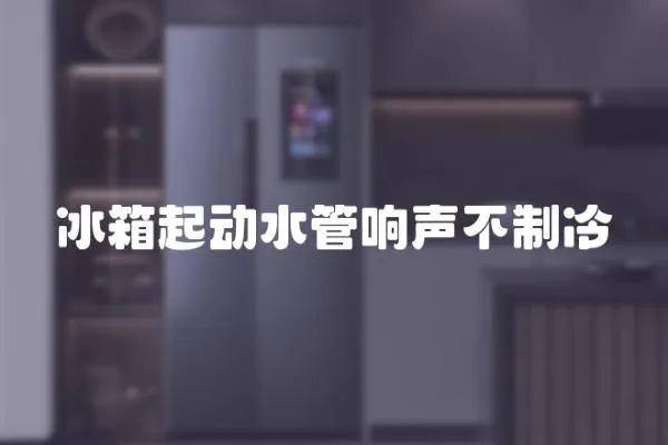 冰箱起動水管響聲不制冷