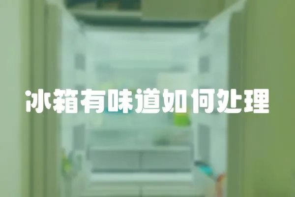 冰箱有味道如何處理
