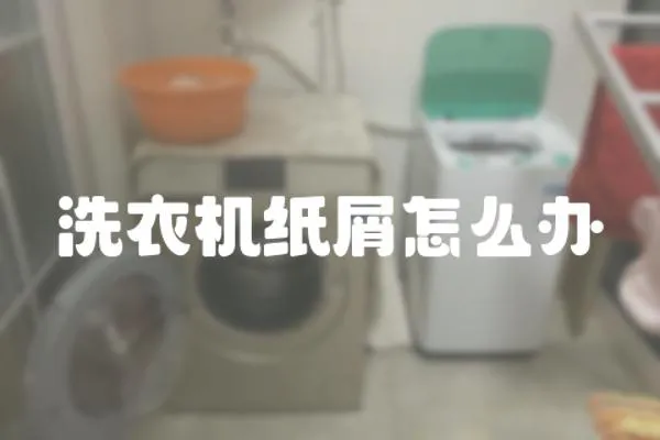 洗衣機(jī)紙屑怎么辦