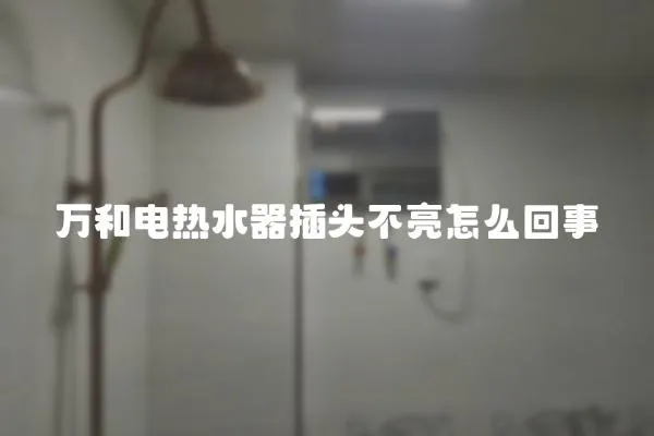 萬和電熱水器插頭不亮怎么回事