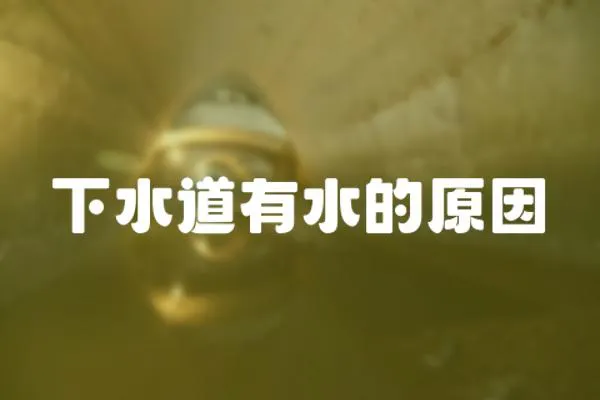 下水道有水的原因