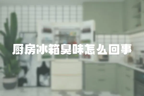 廚房冰箱臭味怎么回事