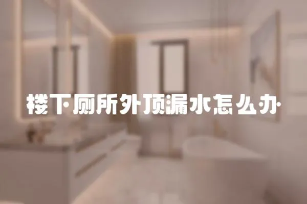 樓下廁所外頂漏水怎么辦