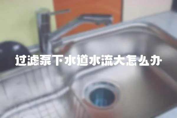 過濾泵下水道水流大怎么辦