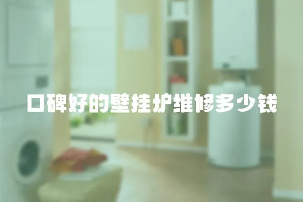 口碑好的壁掛爐維修多少錢