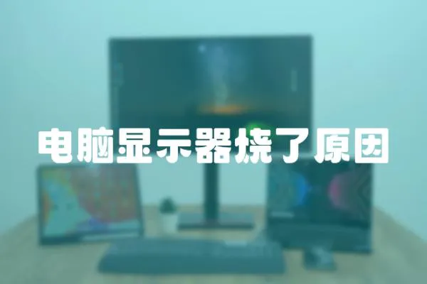 電腦顯示器燒了原因