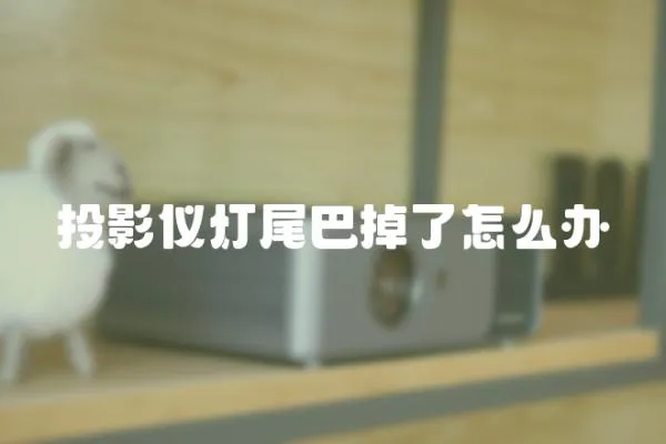 投影儀燈尾巴掉了怎么辦