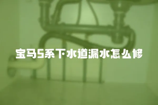 寶馬5系下水道漏水怎么修