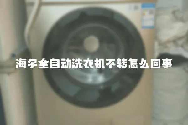 海爾全自動洗衣機不轉怎么回事