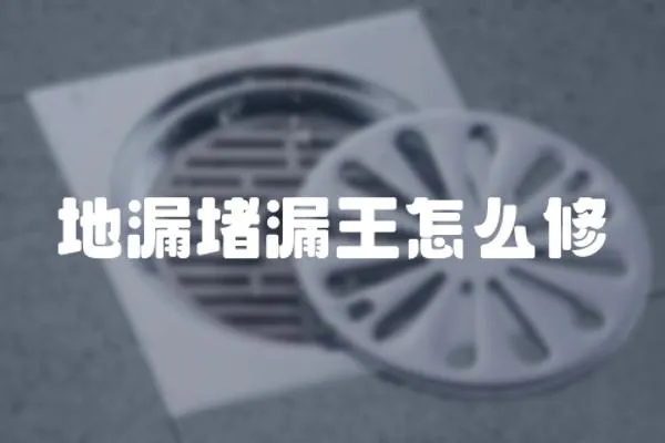 地漏堵漏王怎么修