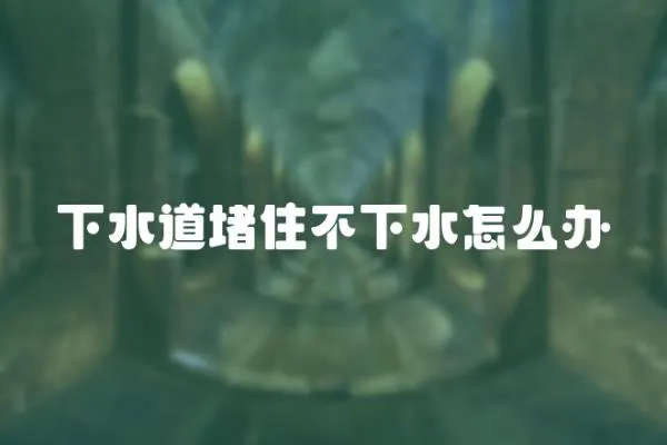 下水道堵住不下水怎么辦