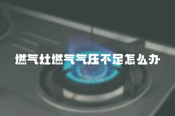 燃?xì)庠钊細(xì)鈿鈮翰蛔阍趺崔k