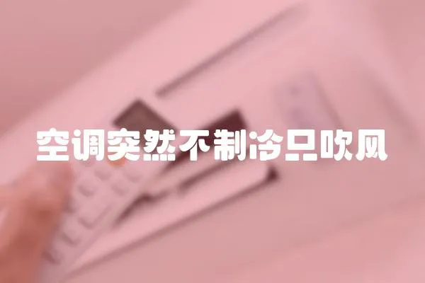 空調(diào)突然不制冷只吹風(fēng)