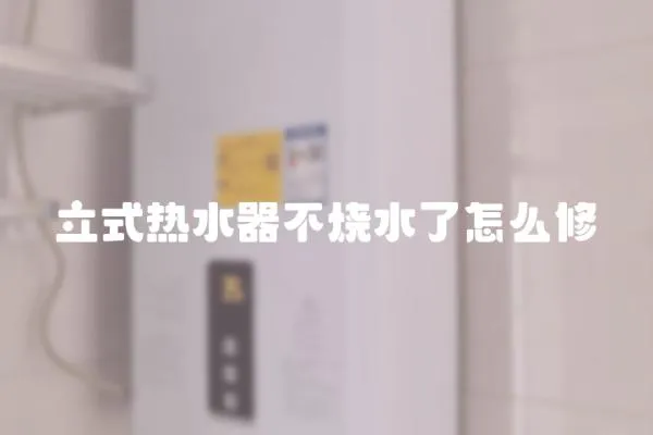 立式熱水器不燒水了怎么修