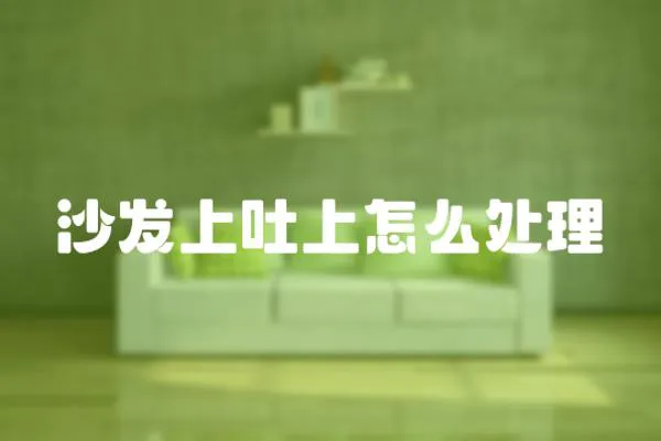 沙發上吐上怎么處理
