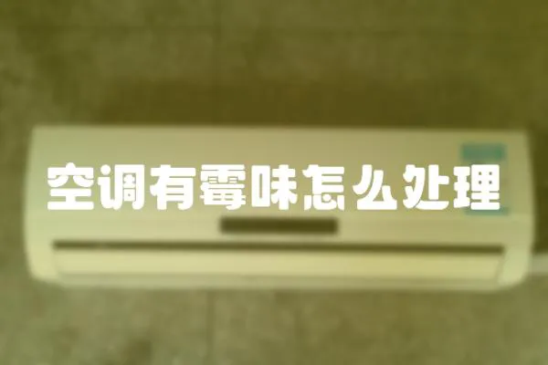 空調(diào)有霉味怎么處理