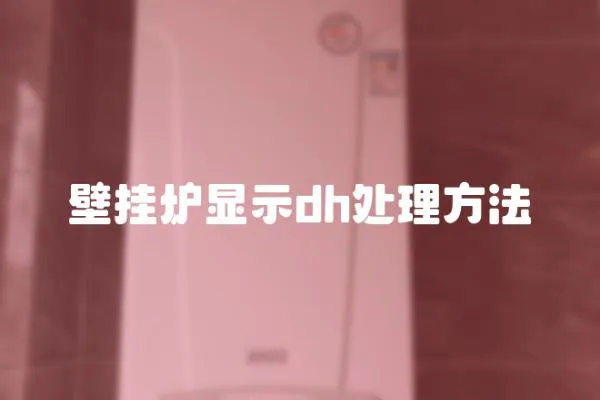 壁掛爐顯示dh處理方法