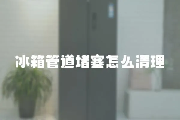 冰箱管道堵塞怎么清理