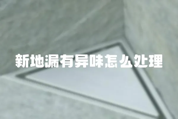 新地漏有異味怎么處理