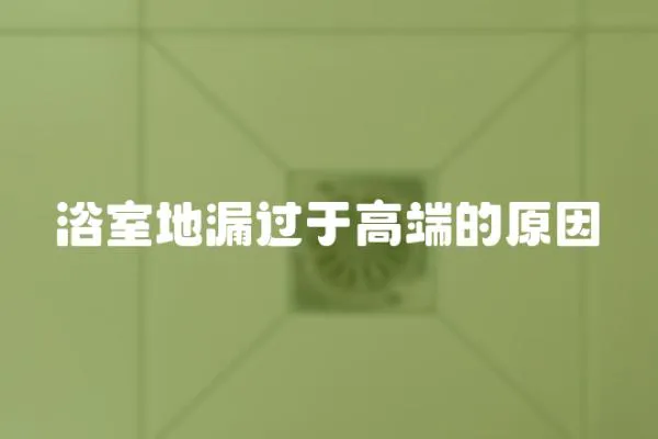 浴室地漏過于高端的原因