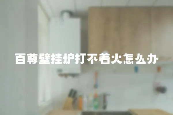 百尊壁掛爐打不著火怎么辦